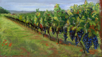 Malbec Vineyard