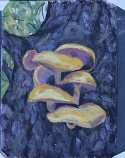 Mushrooms 5
